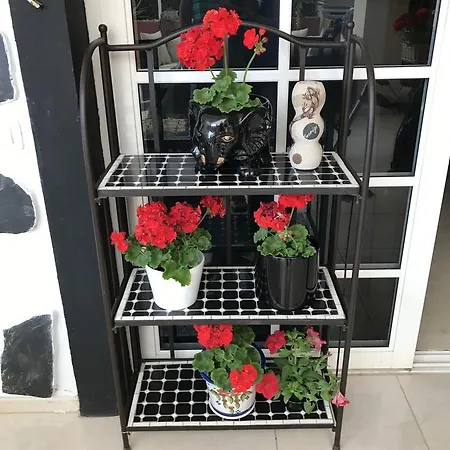 Terrazas Del Duque Apartamento Costa Adeje (Tenerife)